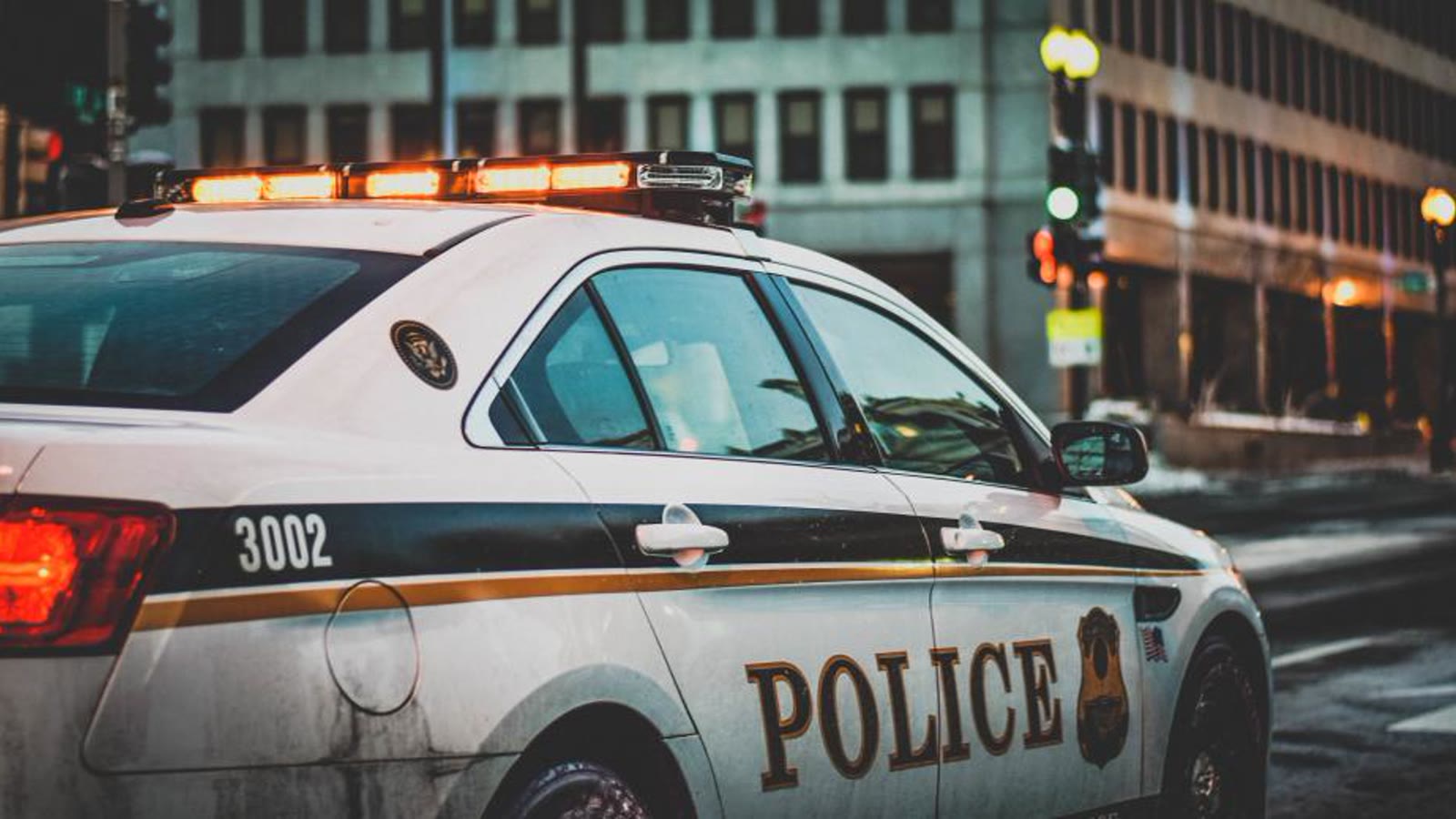 Documentación y datos utilizados en una investigación criminológica