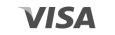 logotipo-gris-visa
